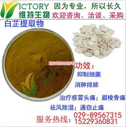 白芷提取物与西安维特生物科技的创新实践