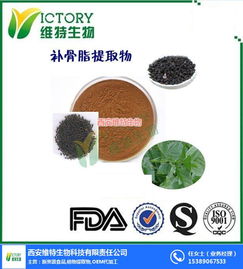 百合提取物 西安维特生物科技的高品质生物技术产品