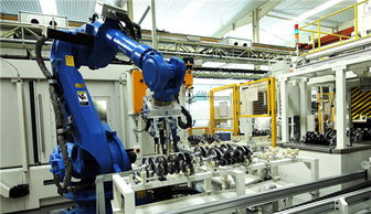 山东高唐县姜店镇 企业争相抢用“科技快餐”，商务信息咨询赋能产业升级